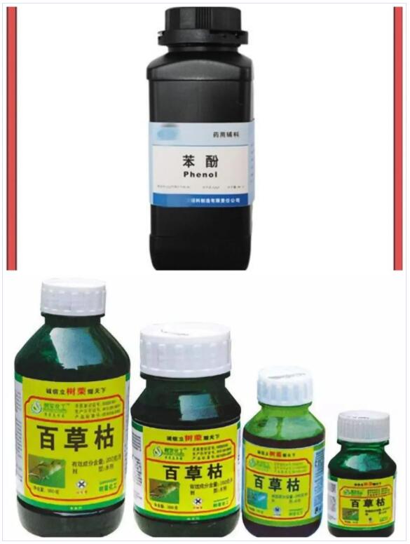 <a href='http://news.magebk.cn' title='國際貨運代理' >國際貨運代理</a>